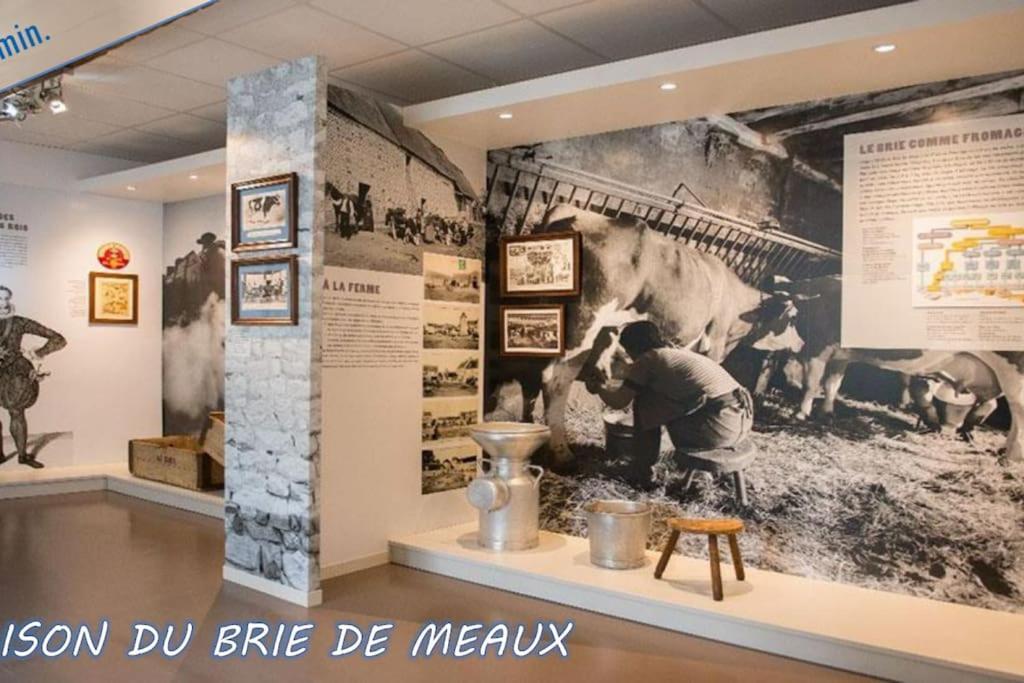 Pause Entre Deux Meaux ► Proche Disneyland Paris ► Wifi ► Netflix ► 24/24H Penchard Exterior foto